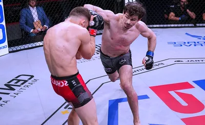 Professional Fighters League